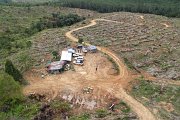 Projek Pemulihan Hutan Simpan Ulu Kalumpang, Cenderamata Landau